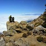 Profile Picture of Scott Picariello (@scottpicariello) on Instagram