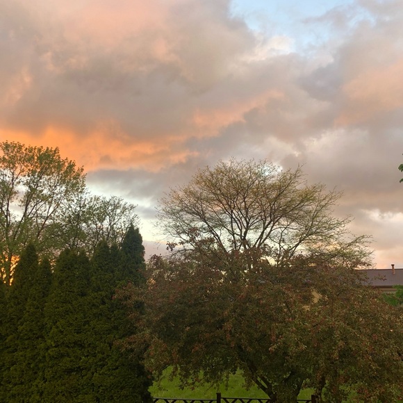 Haley Blane - Poshmark Profile Picture of Haley Blane (@haley_blane) on Poshmark