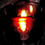 Profile Picture of Alexander Johnson (@**snap** photos) on Flickr