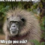 Profile Picture of Robert Pruett (@robertpruett1958) on Instagram