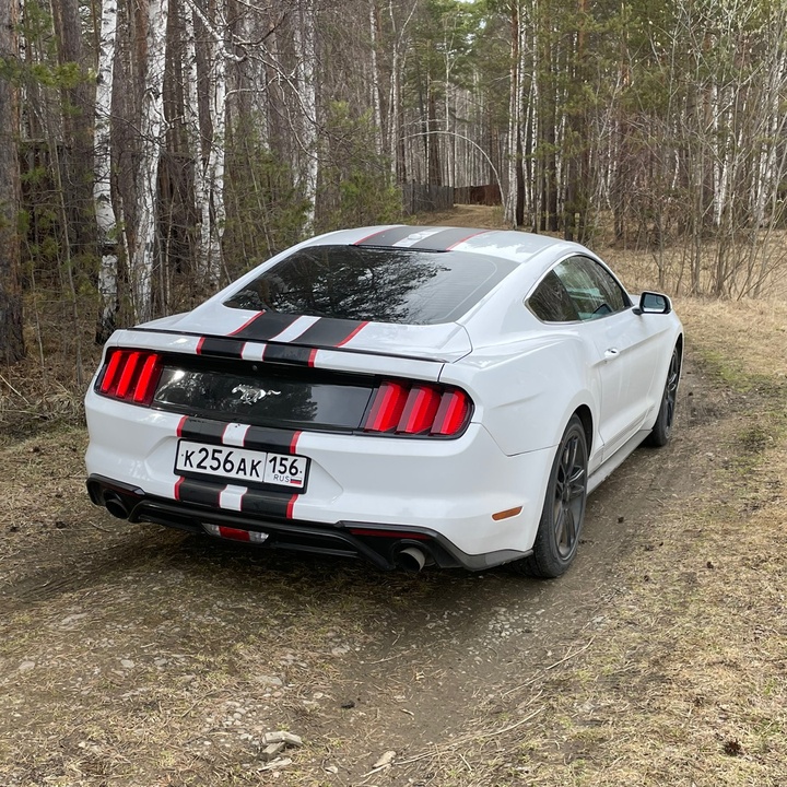 Garcevich - Tiktok Profile Picture of Garcevich (@garcevich) on Tiktok