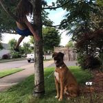Profile Picture of Casey Correa Naputi (@caseycorreanaputi) on Instagram