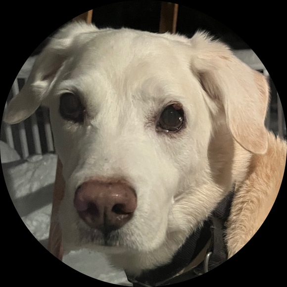 Profile Picture of Alex Dawson (@shredthewave) on Poshmark