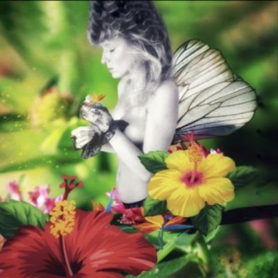 Profile Picture of 𝕊𝕒𝕞𝕒𝕟𝕥𝕙𝕒🍃♥️🍃🧡🍃⭐𝔾𝕆𝔻 𝕎𝕀ℕ𝕊⭐ (@Samantha_Winks) on Twitter