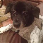 Adam brydon - Instagram Profile Picture of Adam brydon (@adambrydon1245) on Instagram