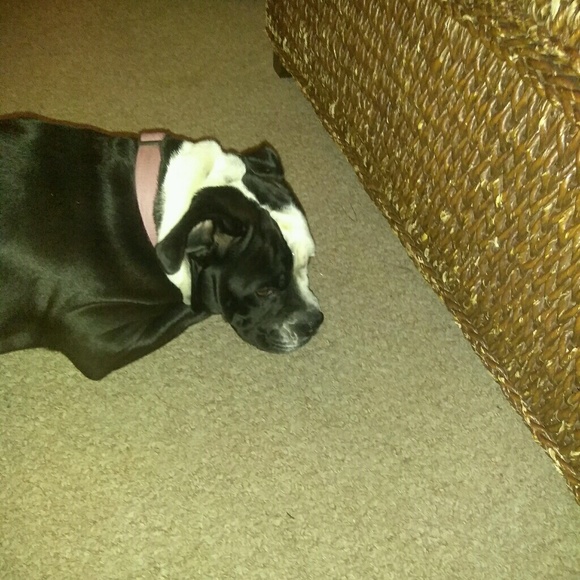 Profile Picture of Zanya Hollamon (@zanya_105) on Poshmark