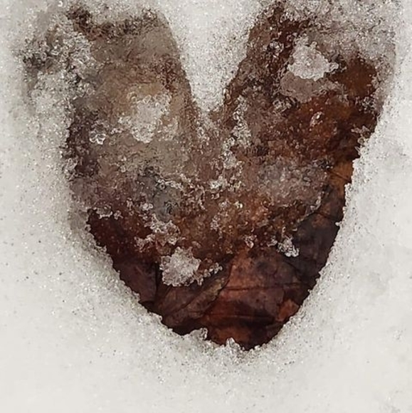 Profile Picture of Kerry anne Wilkins (@kawwilkins) on Poshmark