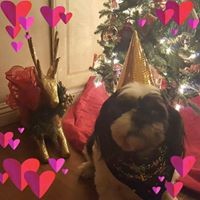 Profile Picture of Michele Duvall (@michele-duvall-1) on Quora