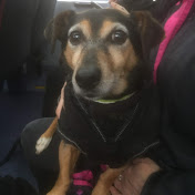 Kevin Drew - Youtube Profile Picture of Kevin Drew (@kevindrew9946) on Youtube