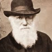 Profile Picture of Albert Gordon (@albertgordon6999) on Youtube