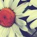 Profile Picture of Julia Eicher (@julia.eicher.144) on Facebook
