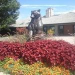 Profile Picture of Carlene Rhoades (@rhoadescarlene) on Instagram