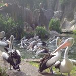 Profile Picture of umay (@umayasa_) on Instagram