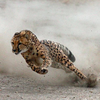 Profile Picture of Chris Becker (@cbecker_trader) on Twitter