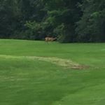 Profile Picture of David Feygin (@david.feygin014) on Instagram