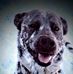 Profile Picture of Timothy Eckels (@timothy.eckels.3) on Facebook