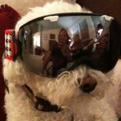 Profile Picture of Rebecca Newbold (@rnewbold85) on Twitter