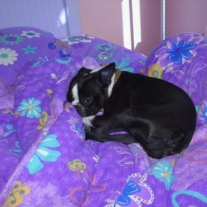 Profile Picture of Jordan March (@339421291) on Myspace