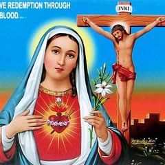 Profile Picture of Mark Maxwell (@mark.maxwell57) on Tiktok