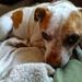 Profile Picture of England Ruby (@englandruby) on Pinterest