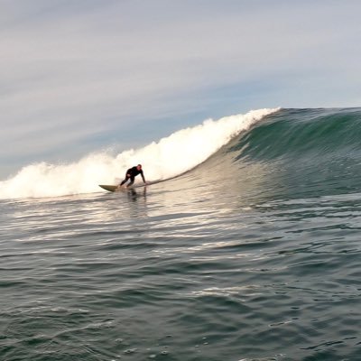 Profile Picture of Mark Lehman (@Bama_Surf) on Twitter