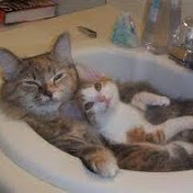 Profile Picture of Gregory Hyland (@gregoryhyland4700) on Youtube