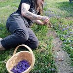 Profile Picture of Benjamin Brennan (@brennan.benjamin) on Instagram