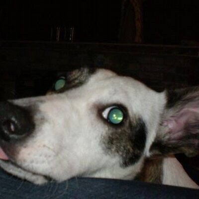 Profile Picture of Andy Jaggers (@@andyjags78) on Twitter