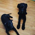 Profile Picture of Zeus, Poseidon, & Mom (@alextate323) on Instagram