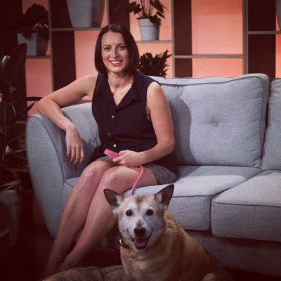 Kelly McFarlane - Twitter Profile Picture of Kelly McFarlane (@KellyTrainsDogs) on Twitter