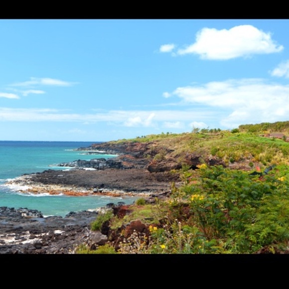 Profile Picture of Denise Clay (@dlehm) on Poshmark