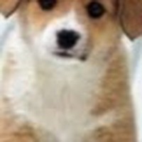 Profile Picture of Neysa Diaz-perez (@neysa-diaz-perez) on Quora