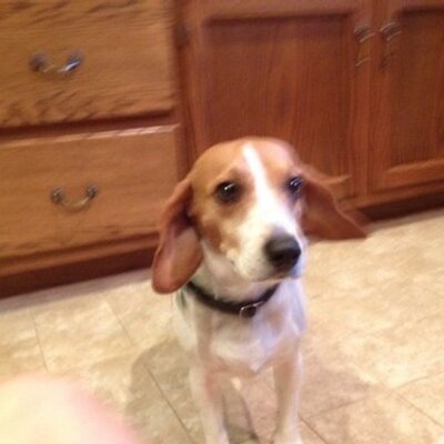 Profile Picture of Pam Fritz (@pam_fritz) on Twitter