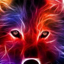 Profile Picture of Cade Wallace (@CadeWallace5) on Twitter