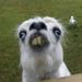 Profile Picture of Andrew Fawcett (@andrewfawcett23) on Pinterest