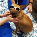 Profile Picture of Jackson Bailey (@jaxon_bailey) on Instagram