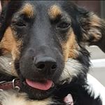 Profile Picture of Лорэн (@loren_baleroshka) on Instagram