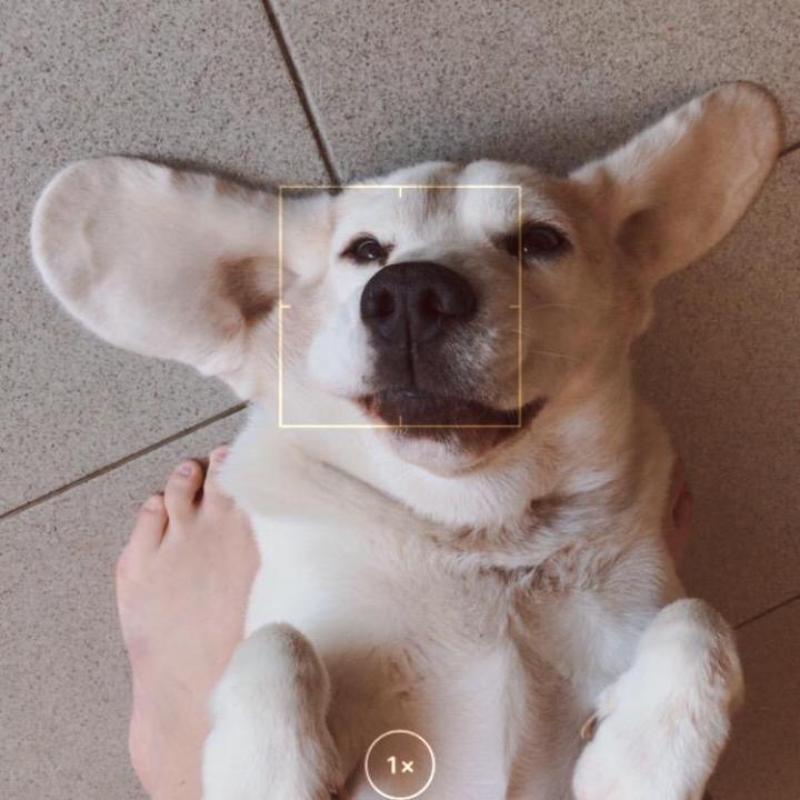 Profile Picture of paula (@paufimpel) on Tiktok