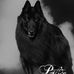 Profile Picture of Brian Corro (@brian.corro.1238) on Facebook