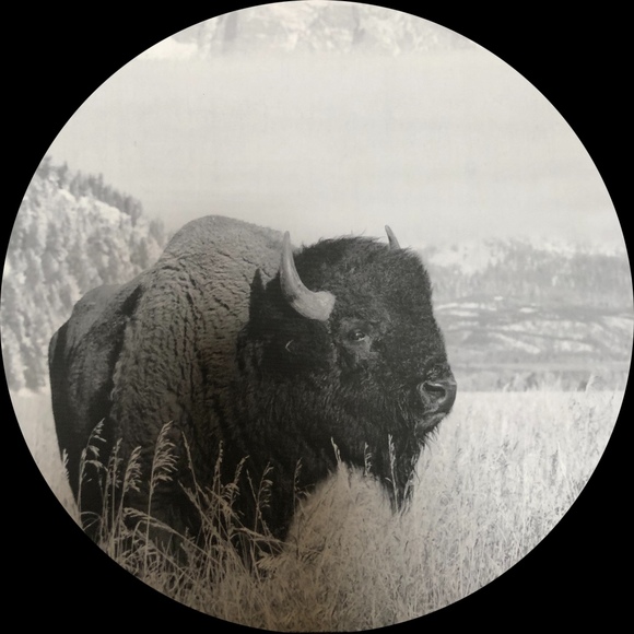 Profile Picture of Curtis Franklin (@crcreek) on Poshmark