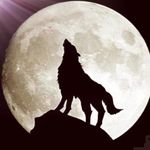 Profile Picture of Vilayet İmişli (@vilayet.2202) on Instagram