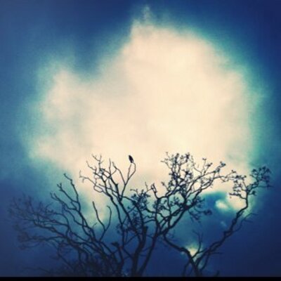 Profile Picture of Cassandra Bailey (@cassiecassette) on Twitter