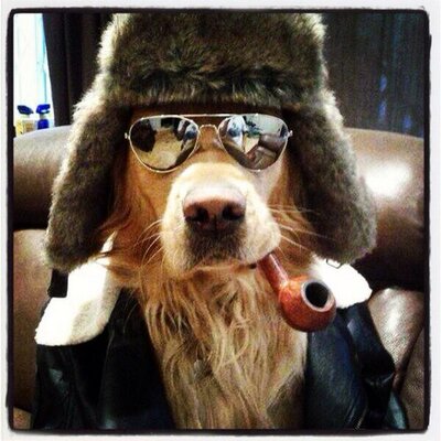 Profile Picture of Sean Jones (@jones1_27) on Twitter