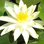 Profile Picture of Randy Brannan (@brannan.randy) on Instagram
