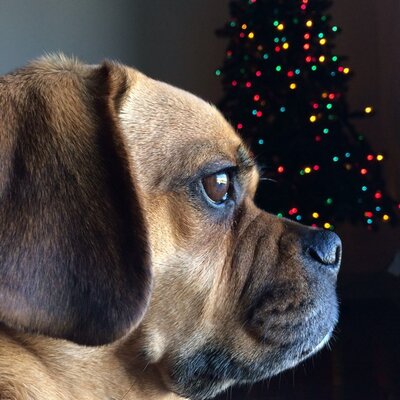 Profile Picture of Jonathan Camarillo (@joncamarillo) on Twitter