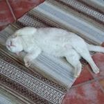 Profile Picture of Kent Andersson (@kent.andersson.6005) on Instagram