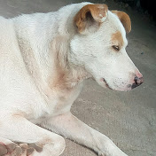 Angel Gray - Youtube Profile Picture of Angel Gray (@angelgray5936) on Youtube