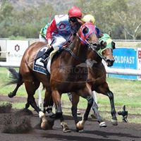 Profile Picture of Scott Westover (@scott-westover-5) on Quora