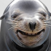 Profile Picture of Luis Camarillo (@luis-camarillo-3) on Quora