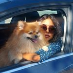 Profile Picture of Lajla Oručević (@0laylaaa) on Instagram